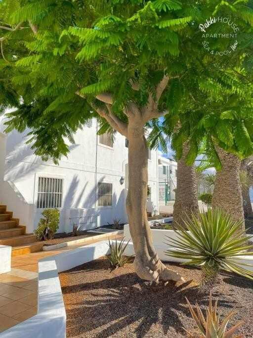 San Valentin Pakky House Apartment Corralejo Exterior photo